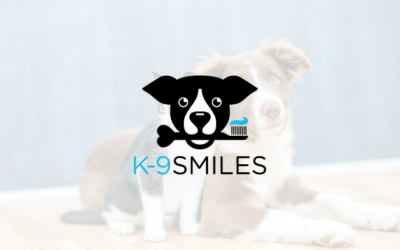 K-9 Smiles Enhances Pet Care Services