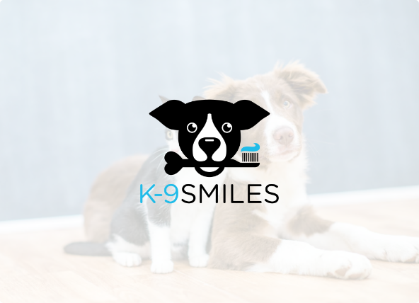 K-9 Smiles Enhances Pet Care Services